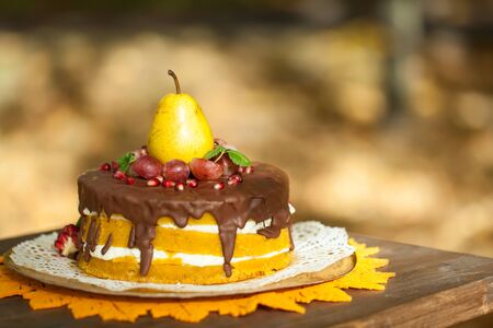 Cake with chocolate and fruitsの写真素材