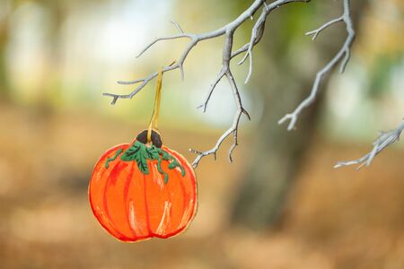 Vibrant autumn in a parkの写真素材