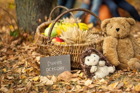 Vibrant autumn in a parkの写真素材