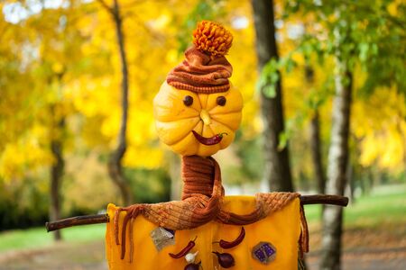 Scarecrow in an autumn parkの写真素材