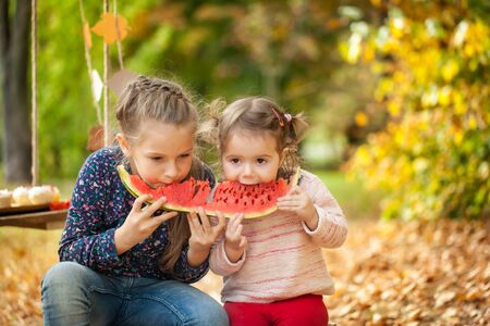 Cute girls in the autumn parkの写真素材