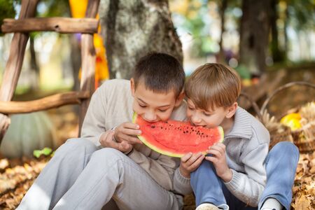Children in the autumn parkの写真素材