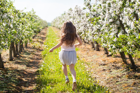 Beautiful young girl in blooming apple tree garden enjoys warm spring dayの写真素材
