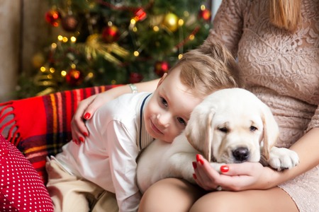 Happy boy with a mom holding a labrador puppy in a studio with a warm christmas decor. Cosy gold and red decorの写真素材