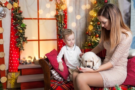 Happy boy with a mom holding a labrador puppy in a studio with a warm christmas decor. Cosy gold and red decorの写真素材