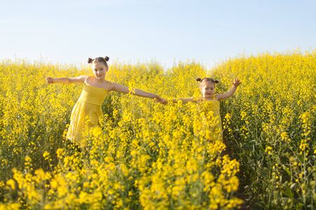 Cute girls in yellow dresses having fun in the field of flowering rape. Nature blooms rape seed field. Summer holidaysの写真素材