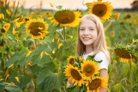 Beautiful young girl in a field of sunflowers in a yellow dressの写真素材