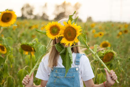 Beautiful young girl in a blue denim overalls having fun in a field of sunflowersの写真素材