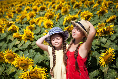 Two cute sisters in funny hats having fun in a field of sunflowersの写真素材