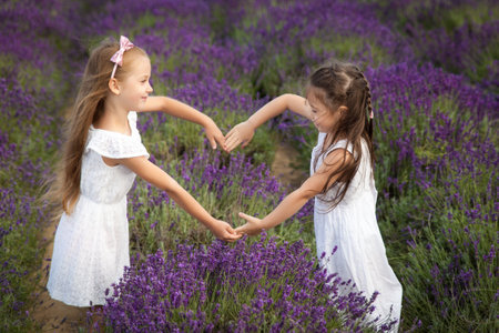 Cute little girls in white dresses showing heart gesture with hands in a lavender fieldの写真素材