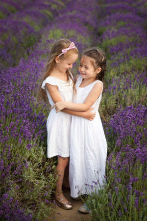 Cute little girls in white dresses having fun in a lavender fieldの写真素材