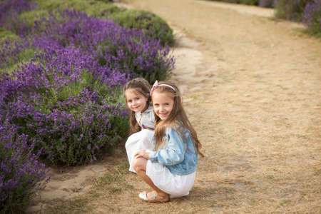 Cute little girls in white dresses having fun in a lavender fieldの写真素材