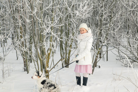 Girl playing with her friend Australian Shepherd puppy on snow in winter day near beautiful frosty forest. Concept of friendship of child and dogの写真素材