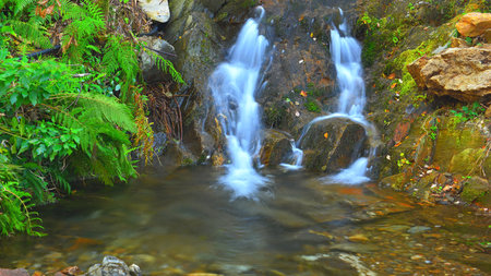 Small waterfall surrounded by mossy rocks and ferns. Northern Portugal. Waterfall in the forest.の写真素材