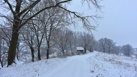 Winter landscape with snow-covered trees and rural road in the countrysideの写真素材