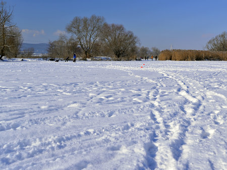 Winter landscape with snow-covered meadow and trees in the background.の写真素材
