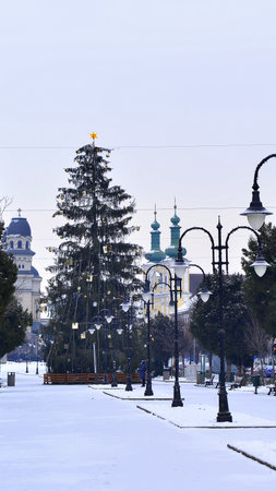 Snowy landscape for Christmas in Roses Square, Targu Mures, Transylvania.の写真素材