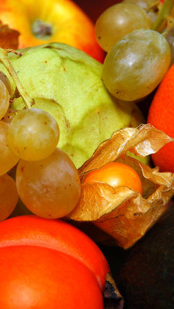 Fruits and vegetables on a dark background.の写真素材