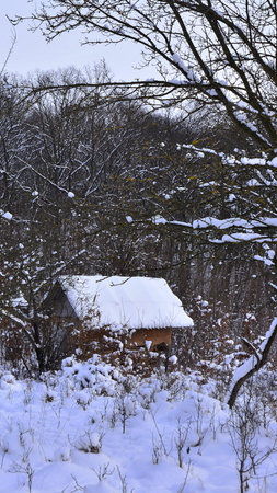 Wooden house in the forest in winter, closeup of photo.の写真素材