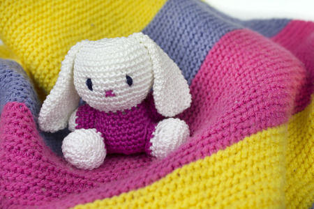 Rabbit in blanketの写真素材