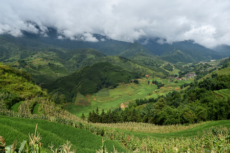 natural view of sapa villageの写真素材