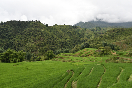 Natual view of sapa villageの写真素材