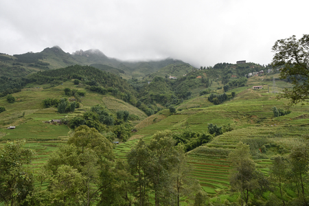 natural view of sapa villageの写真素材