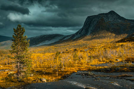 Scenic view on the Kuglhornet summit in Efjorddalen valley, Nordland, Norway on a cloudy day in autumnの写真素材