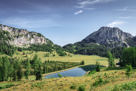 Beautiful Wurzeralm mountain pasture in Upper Austria in summerの写真素材
