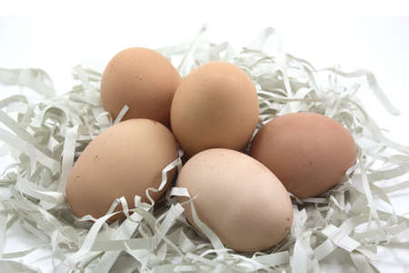 Brown eggs on the paper 