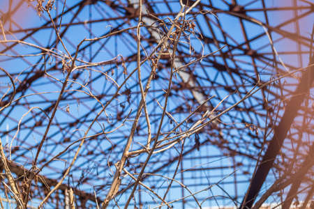 a unfinished building in the portの写真素材