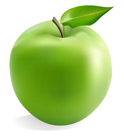 Green Appleのイラスト素材
