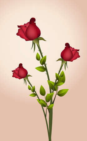Red Rose, vectorのイラスト素材