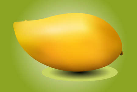 yellow mango on green backgroundのイラスト素材