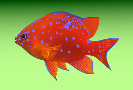 tropical fish on green background