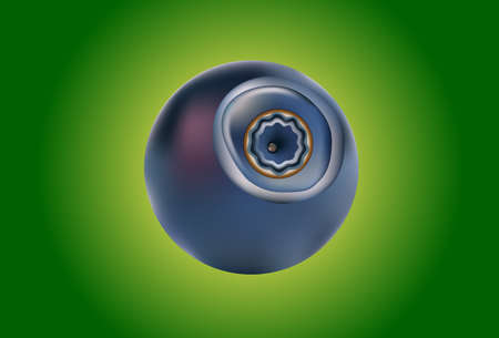 Blueberry, isolated on white background. Realistic digital paint. Vector illustration.のイラスト素材
