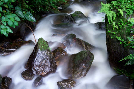 Waterfall in summer