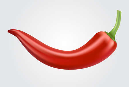 Red hot chili peppers on white background.のイラスト素材