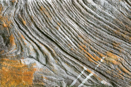 old brown wooden texture.