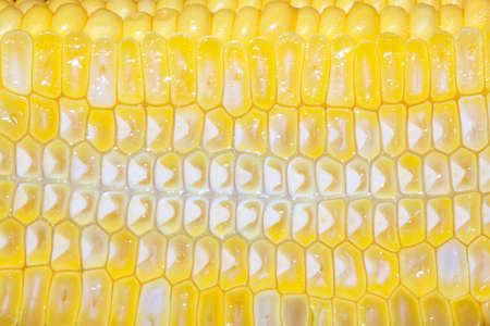 diced cooked  corn isolated on white backgroundの写真素材