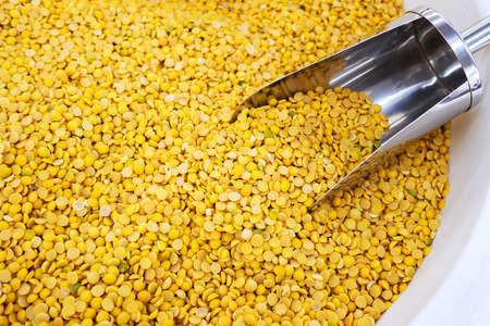 yellow split peas in a burlap bag with an aluminum scoop on a white backgroundの写真素材