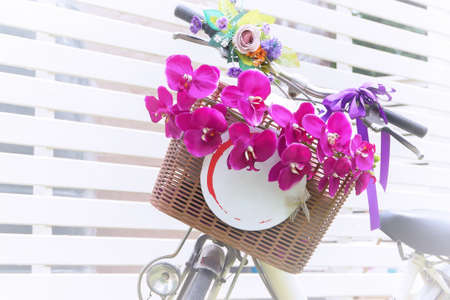 flower in basket of vintage bicycle on vintage wooden house wallの写真素材