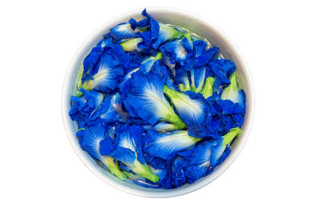 Purple pea flowersの写真素材
