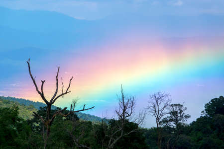 rainbowの写真素材