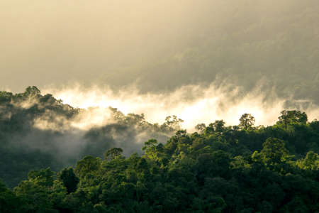 Morning Mist at Tropical Mountain Range ,chiangmai Thailandの写真素材