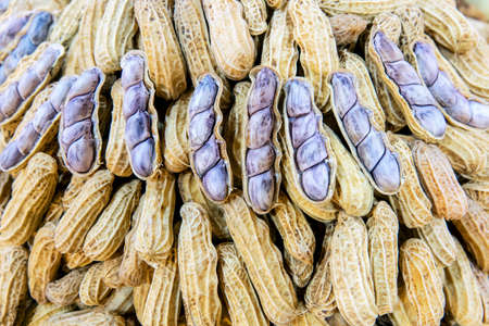 boiled peanuts on  backgroundの写真素材