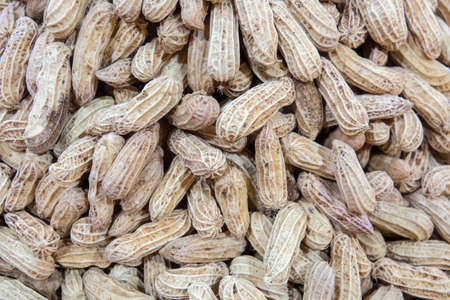 boiled peanuts on  backgroundの写真素材