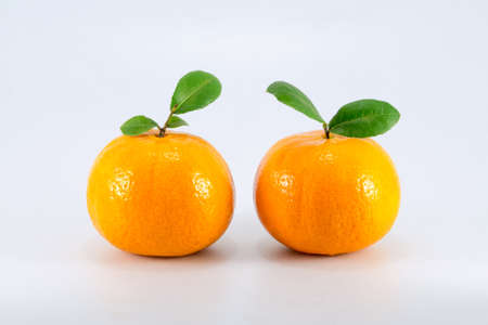 Orange fruit isolated on whiteの写真素材