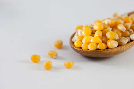 corn yellow corn for popcornの写真素材