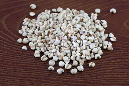 Millet rice bean or millet grains (Also called as pearl Millet in India, Finger millet, Proso millet...